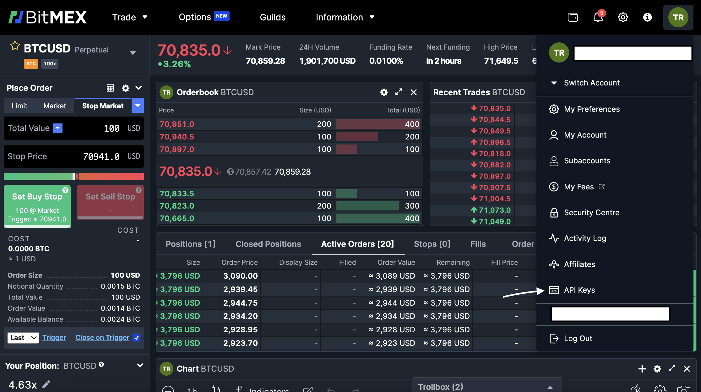 bitmex_login_page_image_.png